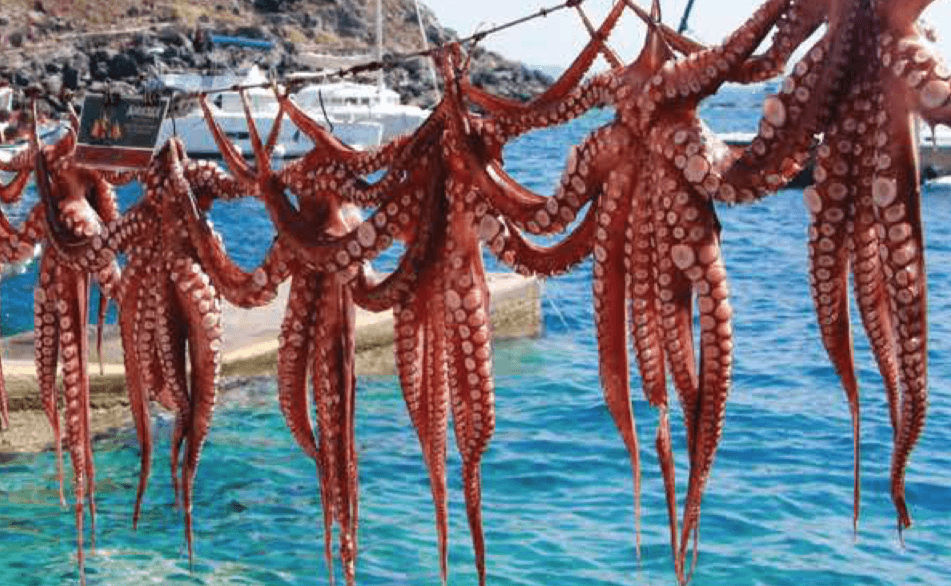 Снимок экрана 2019-07-01 в 17.27.59