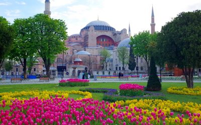 🚌 Istanbul-Festivalul lalelelor!