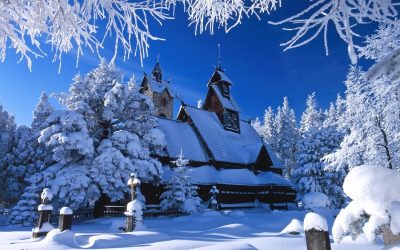 🚌 ❄VATRA DORNEI - VACANTA LA MUNTE❄ - 280€!