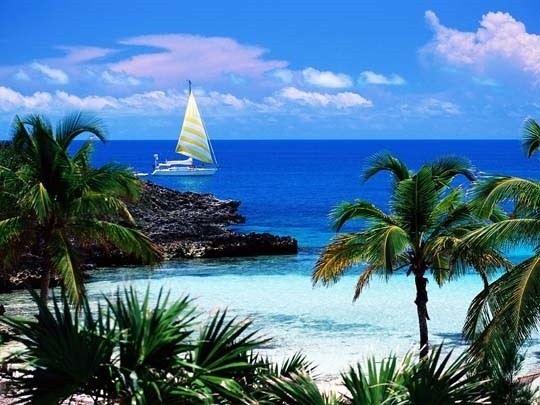 🚌 СТАМБУЛ + отдых на море 230€