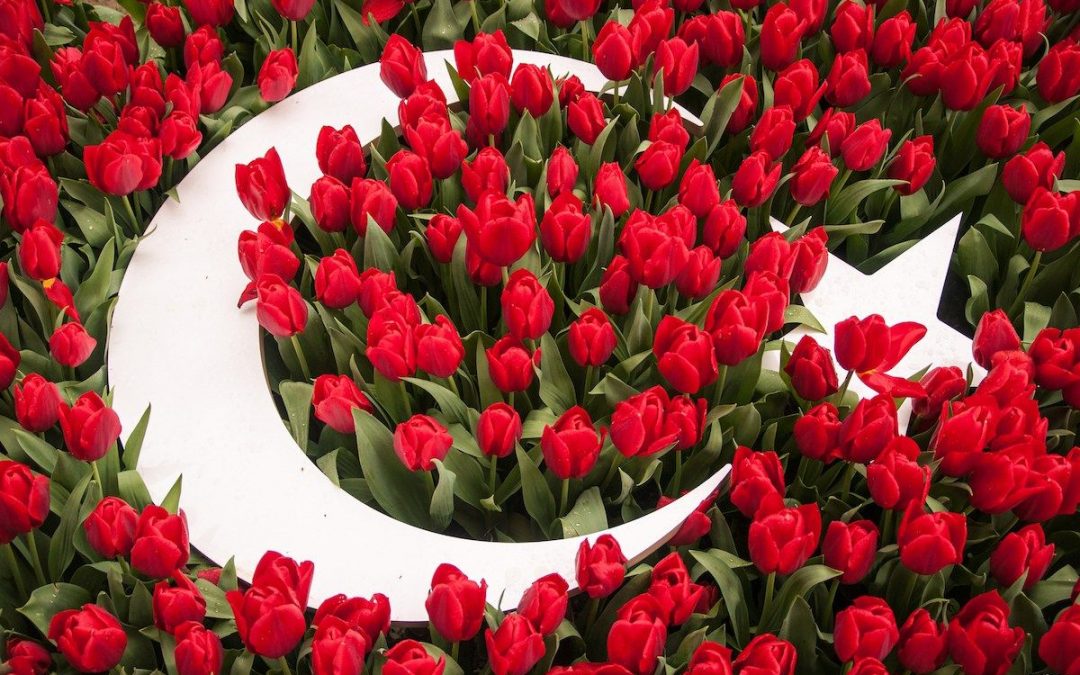 🚌 Майские праздники в АНТАЛИИ — 325€